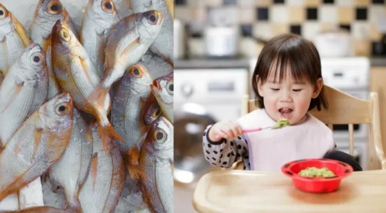 15 Ikan Terbaik untuk MPASI Bayi yang Penuh Nutrisi