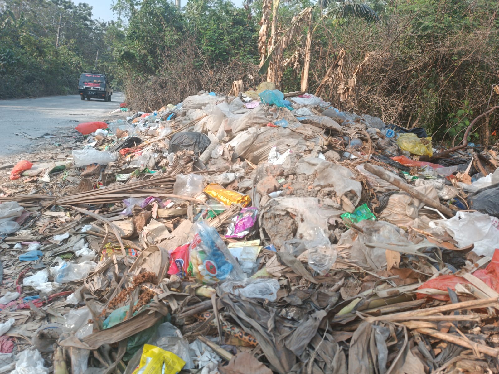 Jarang Dibersihkan Lagi, Sampah Rumah Tangga Masyarakat Menggunung di Pinggir Jalan 