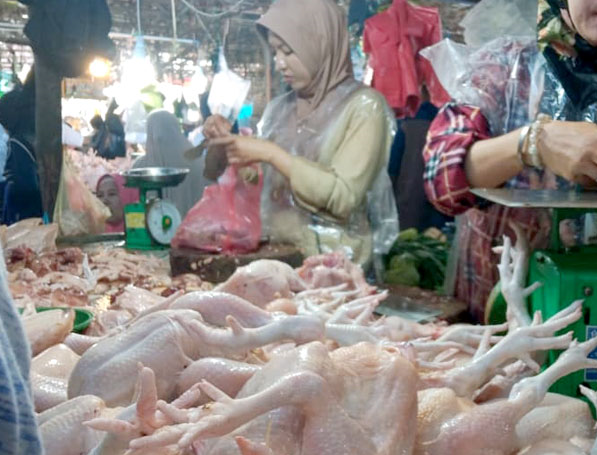 Harga Ayam dan Telur Turun Saat Libur MBG, Pasar Tradisional di Sumsel Mulai Bergairah