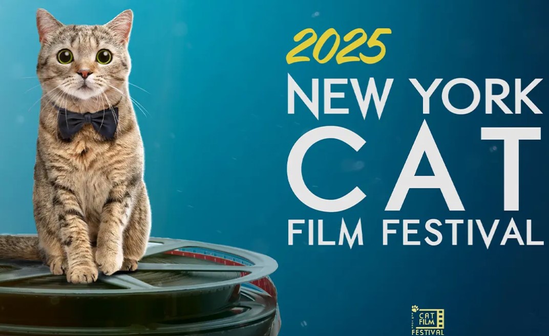 Festival Film Kucing New York 2025 Serunya Nonton Film Bareng Para Pecinta Kucing!