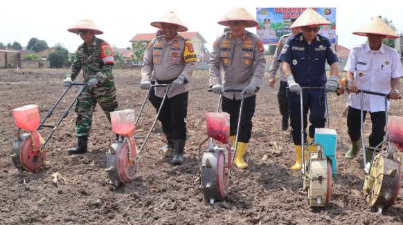 Manfaatkan Lahan Mapolsek, Dorong Swasembada Pangan Lewat Tanam Jagung