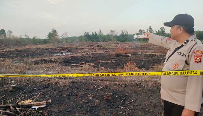 Polisi Gencar Tangkap Pelaku Karhutla di Sumsel, Pelaku Lain masih Diburu