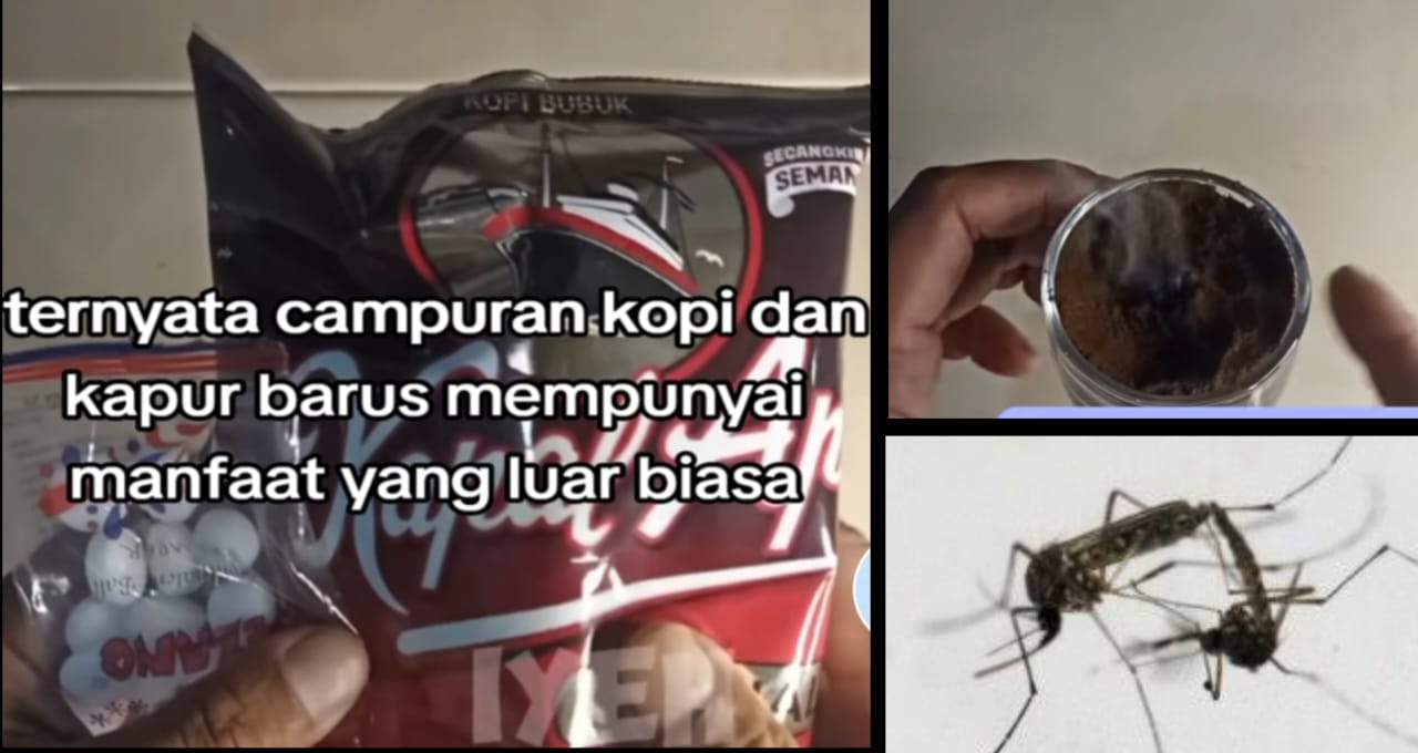 Cara Mengusir Nyamuk dengan Sisa Bubuk Kopi dan Kapur Barus, Nyamuk Langsung Lenyap Dalam Langkah Cepat