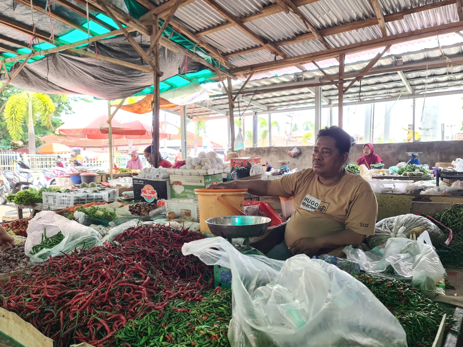 Harga Cabai Stabil, Bawang Merah Turun