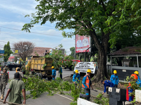 PLN ULP Muara Enim Tingkatkan Keandalan Listrik