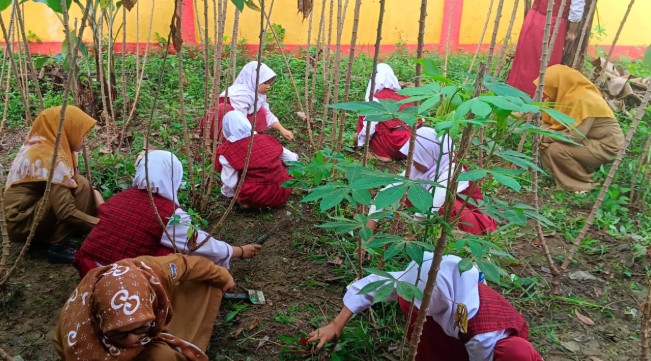 Tanamkan Kemandirian Pangan Sejak Dini, Ajarkan Siswa Bertani Lewat Kebun Sekolah
