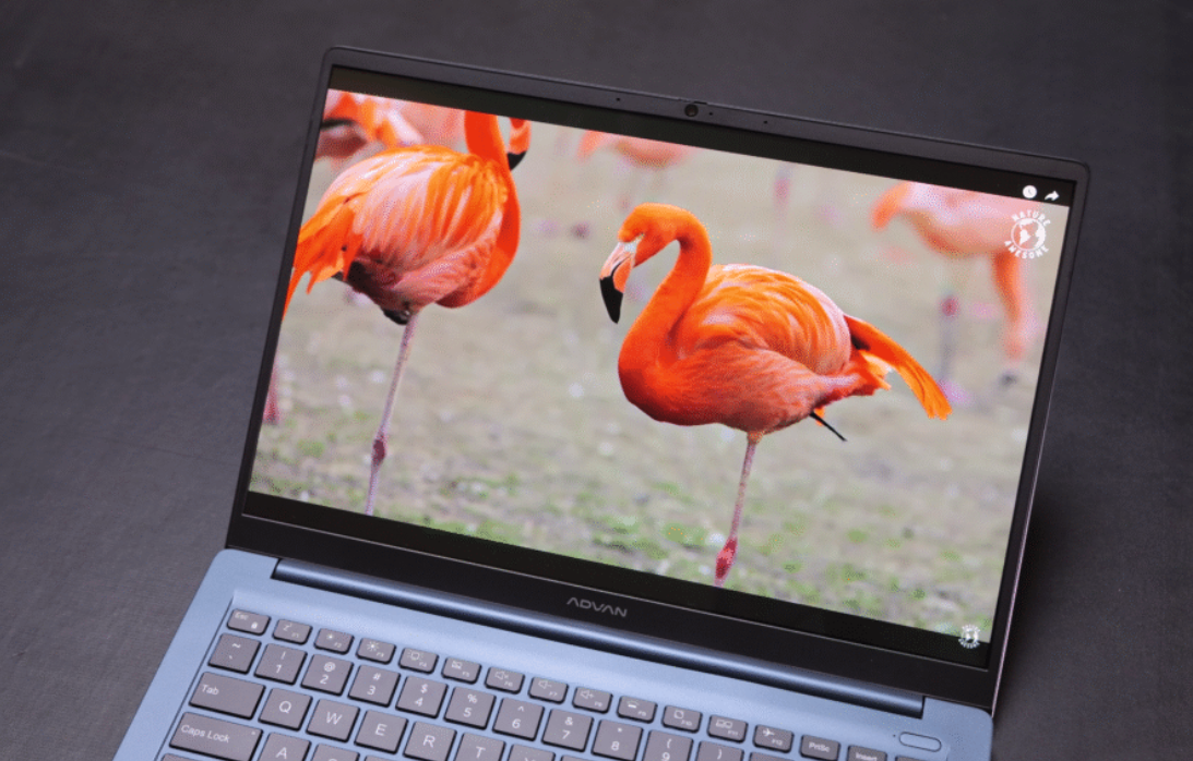 Laptop Lokal Makin Murah di 2026! Axioo, Advan, dan Zyrex Ternyata Segahar Ini