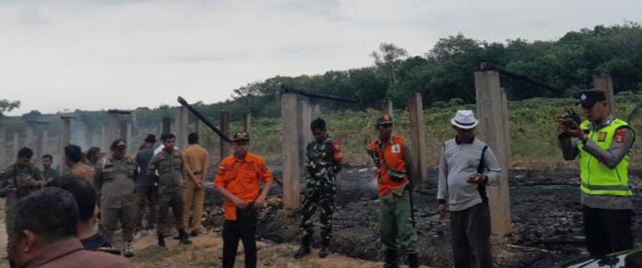 Kandang Terbakar, 9.000 Anak Ayam Habis Terpanggang