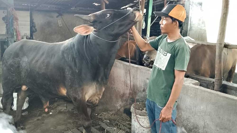 Permintaan Meningkat Jelang Iduladha