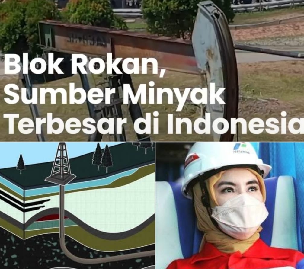 Ini Salah Satu Cara Pertamina Memburu Target 1 Juta Barel Minyak Bumi ...