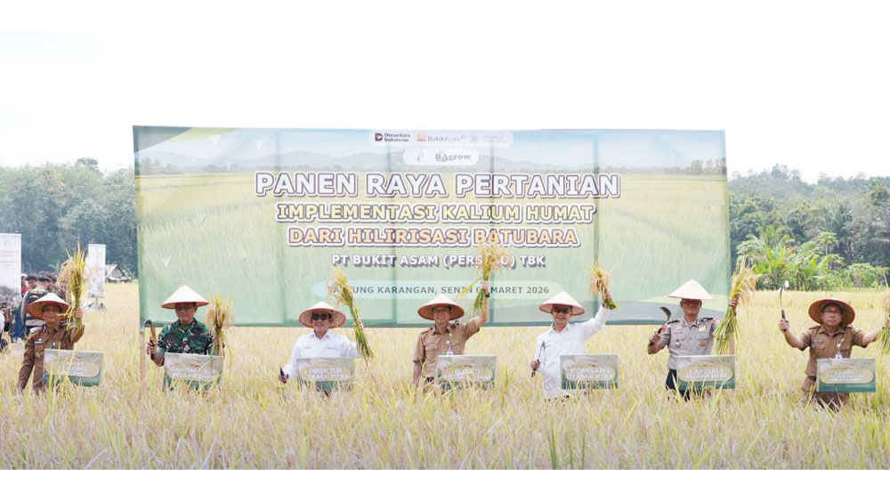 Dukung Pemanfaatan Kalium Humat Dongkrak Produktivitas Pertanian