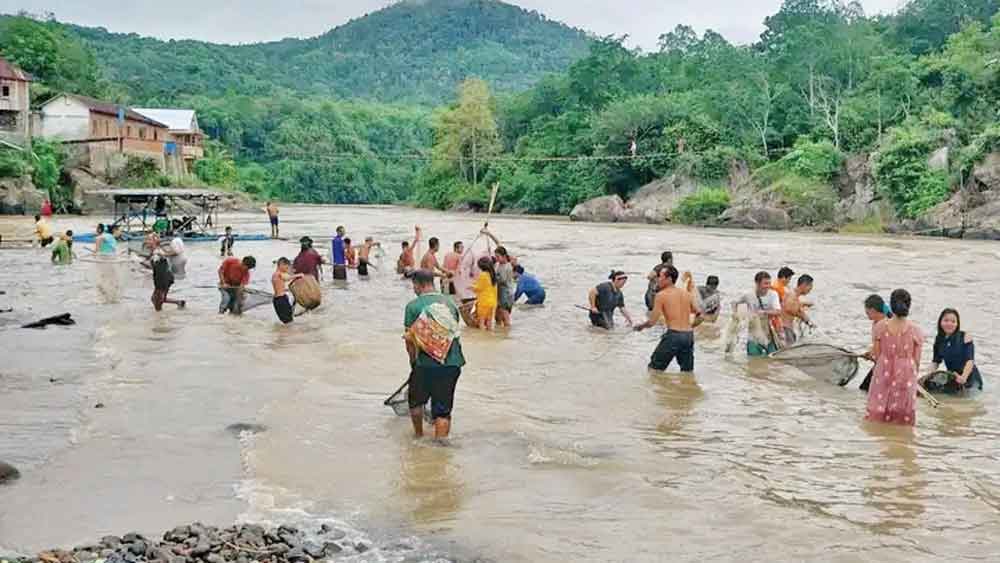 Fenomena Ikan Mabuk Diserbu Warga