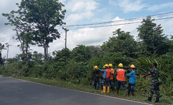 PLN Imbau Warga Waspada Aktivitas Berbahaya di Sekitar Jaringan Listrik