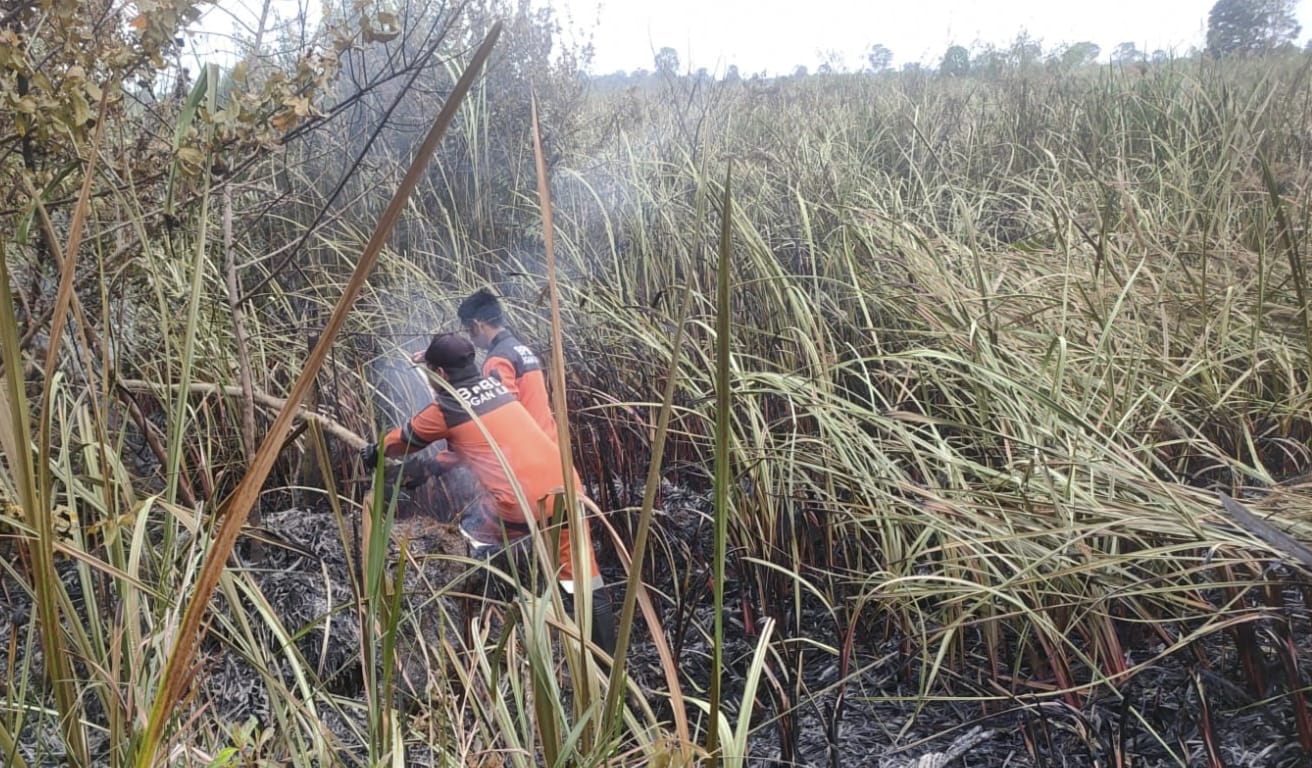 Hingga Februari 2023, Sudah 2,5 Hektare Lahan di Ogan Ilir Terbakar