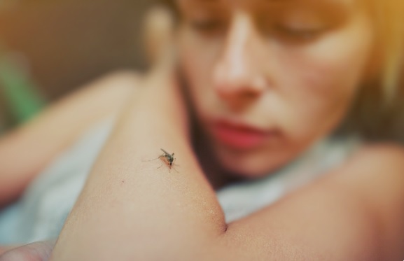 Jangan Tunggu Parah! Ini Tanda-Tanda Demam Berdarah yang Wajib Segera Dibawa ke Dokter