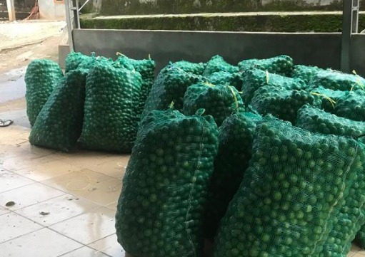 Dikirim ke Luar Daerah, Harga Jeruk Nipis di OKU Melonjak