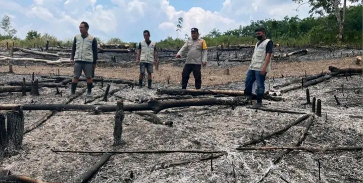 Terdeteksi Melalui Satelit SNPP/VIIRS Temukan Bekas Kebun Jagung Terbakar