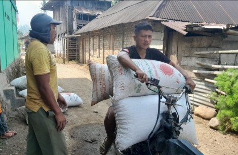 Kopi di OKU Selatan Tetap Rp50-Rp52 Ribu per Kilo