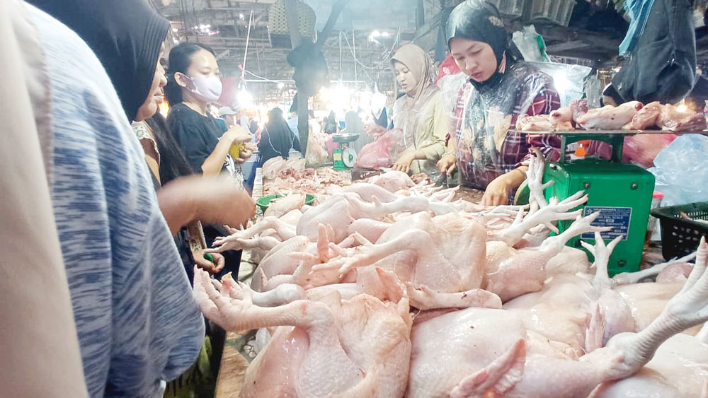 Menggila! Harga Ayam-Telur Naik Terus karena Program MBG 