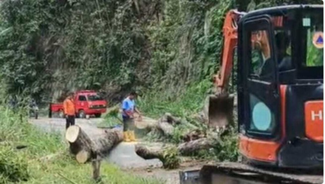Gerak Cepat Tangani Longsor dan Pohon Tumbang di Buay Sandang Aji