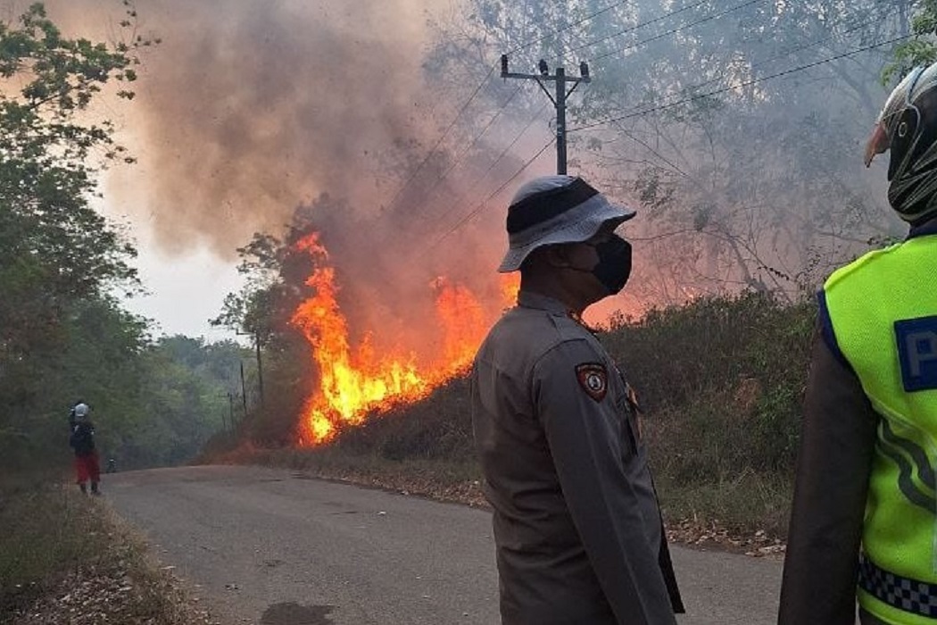 10 Hektar Lahan di OKU Milik PT Sumbawa Terbakar