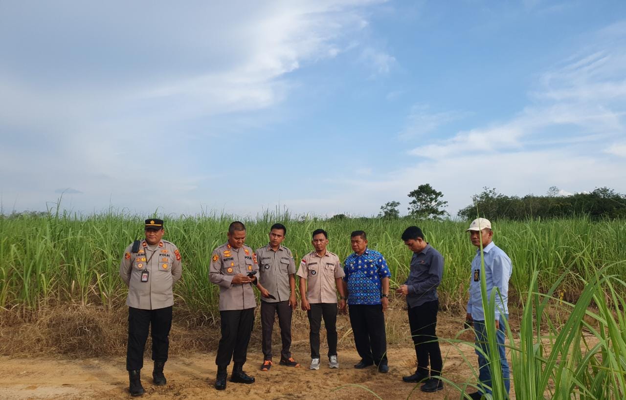 56 Hektar Lahan di Belitang Sengketa