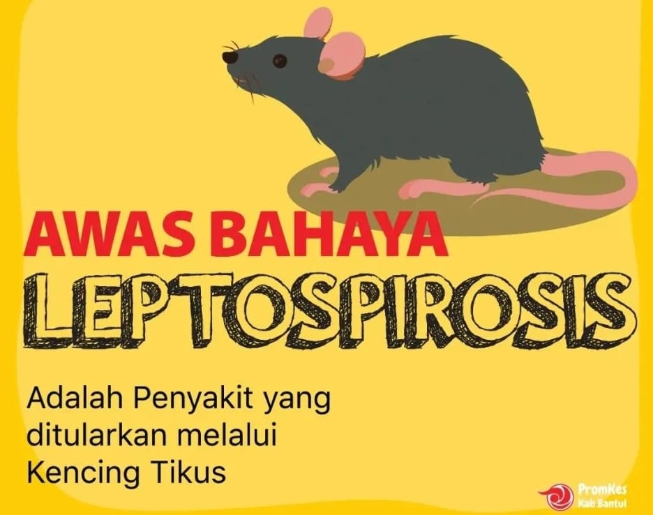 Daerah Anda Sering Banjir dan Banyak Tikus, Waspada Bahaya Leptospirosis yang Mematikan Perlu Kenali Gejalanya