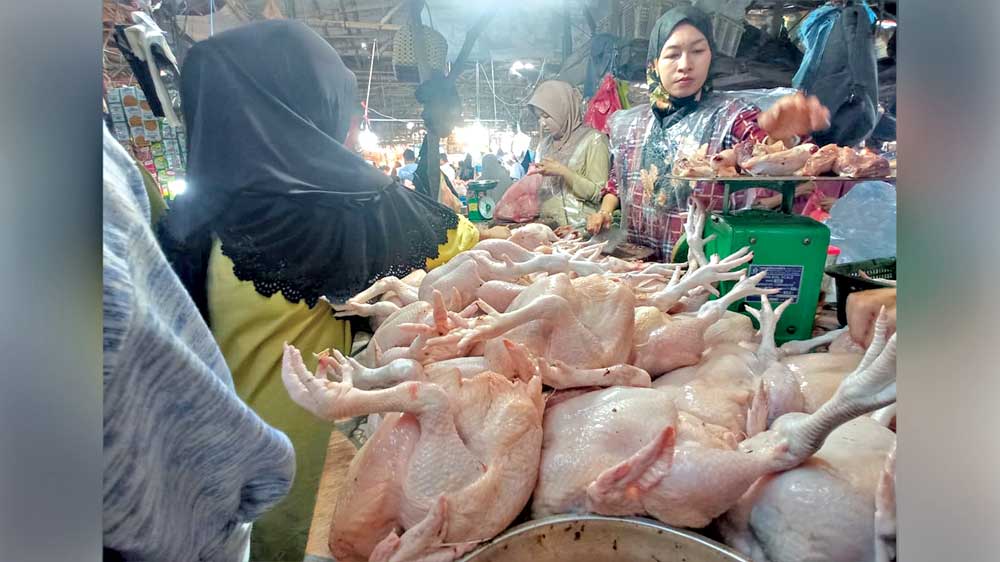 Program MBG Bikin Harga Ayam Potong Meroket hingga di Atas Rp40 Ribu per Kilogram