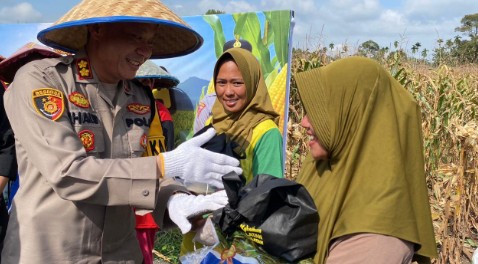 Jaga Ketahanan Pangan, Lakukan Panen Raya Jagung