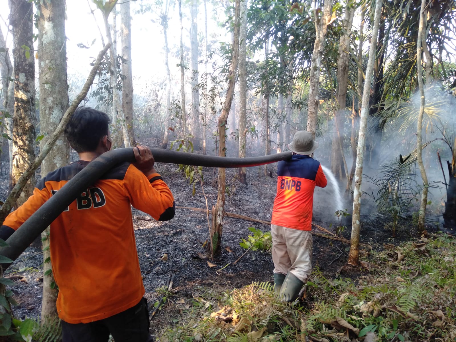 Lagi, BPBD OKU Laporkan 17 Hektare Lahan Terbakar