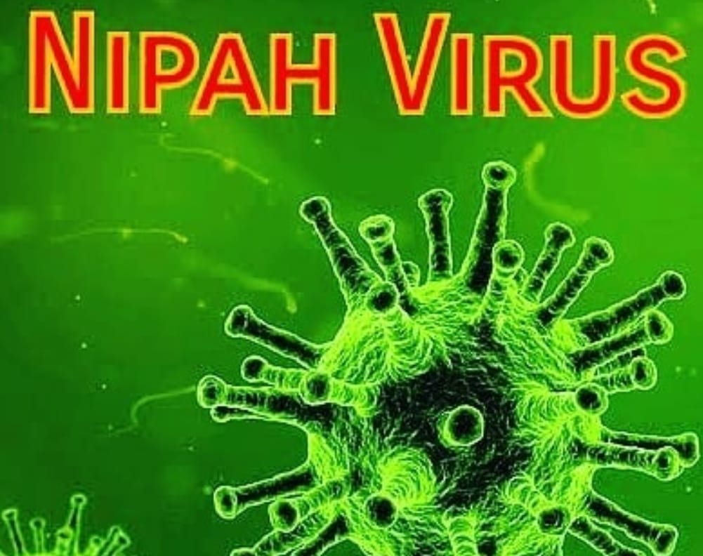 Wabah Virus Nipah Kembali Merebak di India, Indonesia? Tingkatkan Kewaspadaan