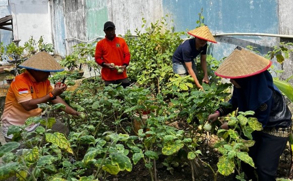 Dukung Asta Cita Ketahanan Pangan Nasional, Gelar Panen Raya dan Penanaman Ulang