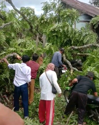 Pohon Tumbang Timpa Gedung Sekolah Saat Siswa Belajar