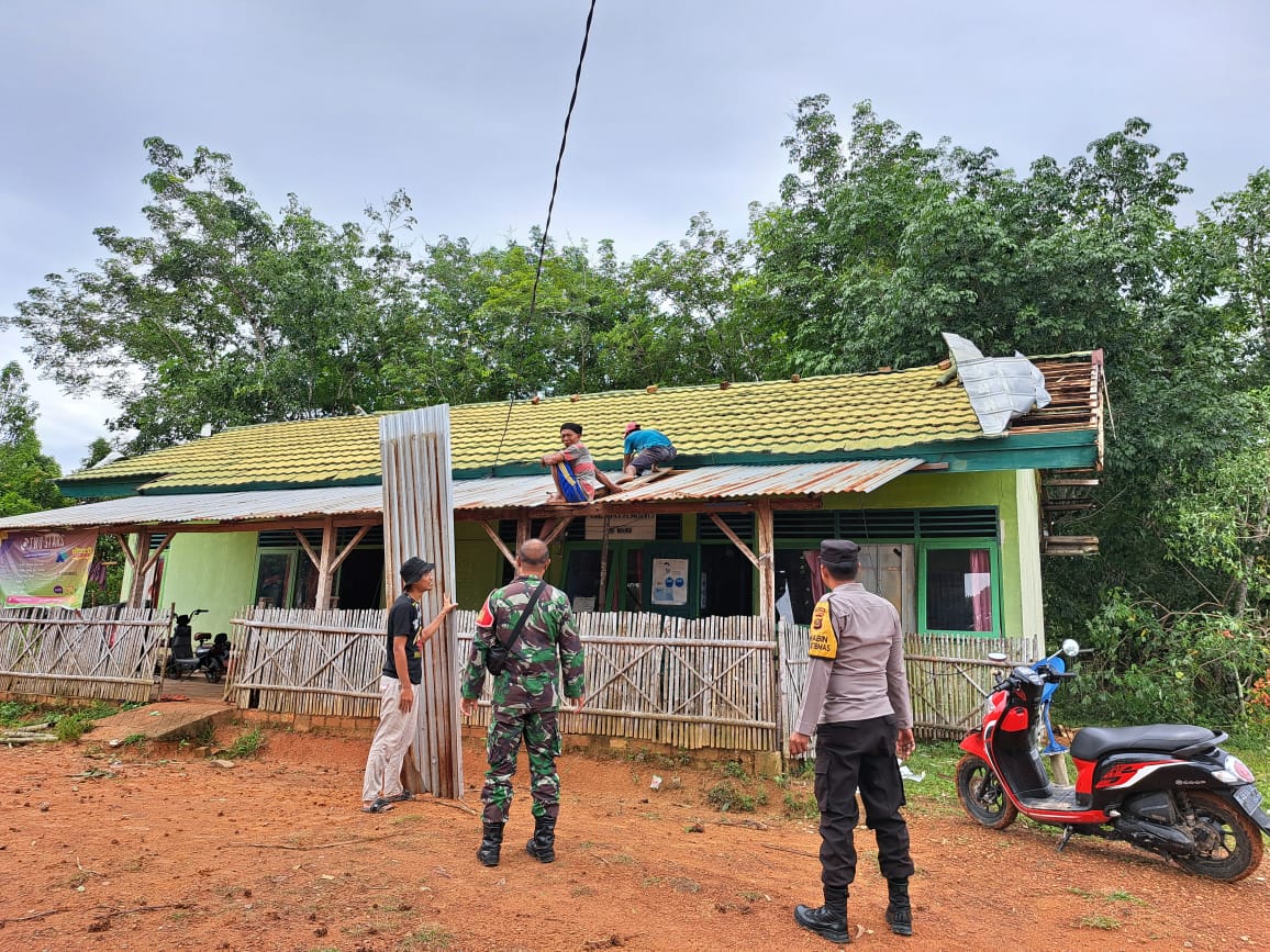 BPBD OKU Bersihkan Material Pohon Tumbang Akibat Puting Beliung