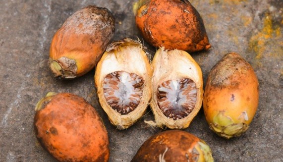 Harga Pinang di OKU Selatan Turun Jadi Rp9.000 per Kg