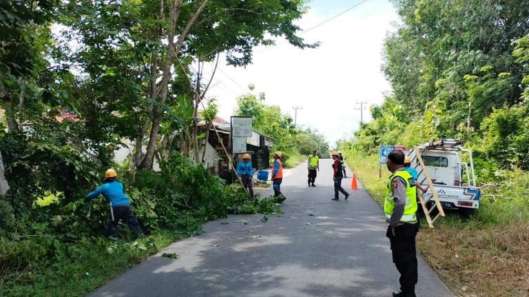 Antisipasi Gangguan Listrik, PLN Papas Puluhan Pohon