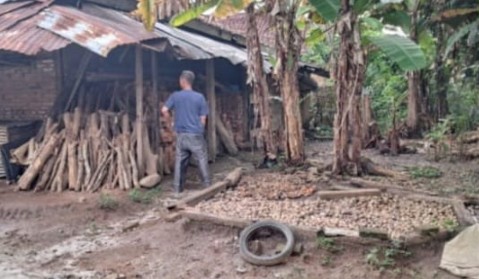 Harga Pinang di OKU Selatan Anjlok ke Rp9.000 per Kg