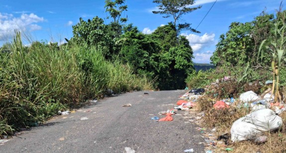 Jalan Menuju Desa Pendagan Jadi TPA Liar, Warga Resah dan Minta Solusi