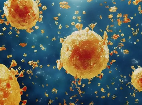 Flu Babi (H1N1): Penyakit Menular yang Pernah Jadi Wabah, Ini Fakta dan Cara Mencegahnya