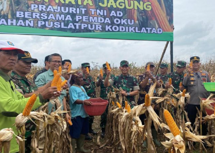 Panen Raya Jagung Jaga Ketahanan Pangan di Tanah Ogan Komering Ulu