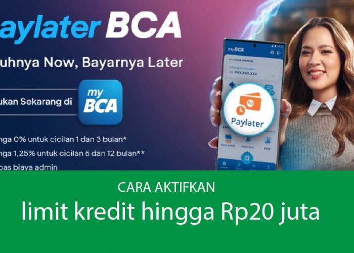 PayLater BCA Resmi Diluncurkan, Belanja Harian jadi Lebih Muda Begini Caranya Mengaktifkannya di MyBCA