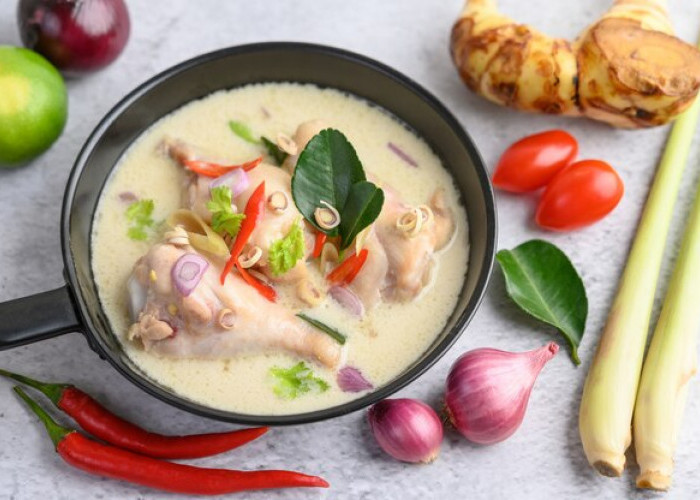 Hidangan Tradisional Indonesia Resep Opor Ayam Simpel dan Enak