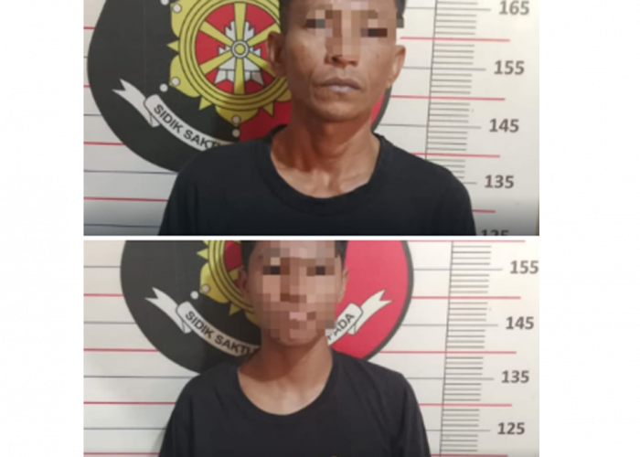 Tertangkap Basah! Dua Pencuri Brondolan Sawit di OKU Terciduk 