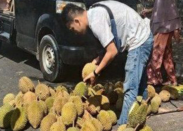 Durian Simpang Meo Penuhi Kota Baturaja