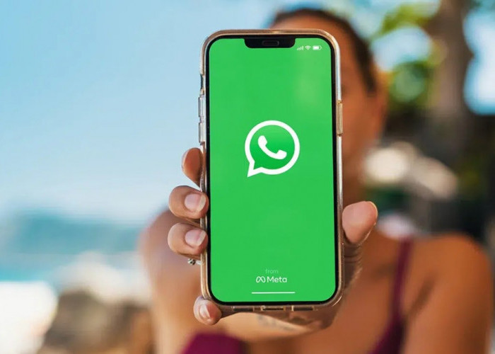 WhatsApp Punya Fitur Baru yang Bikin Chatting Makin Seru!