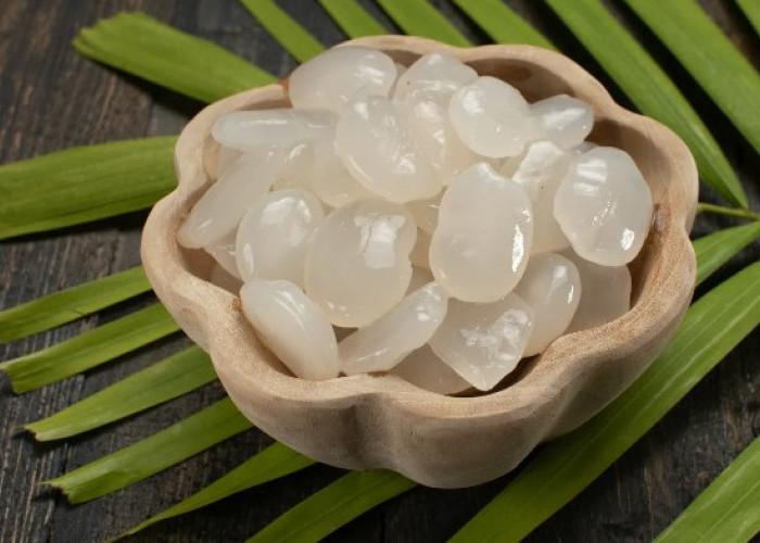 Tips Mengolah Kolang-Kaling Supaya Empuk dan Tidak Berlendir