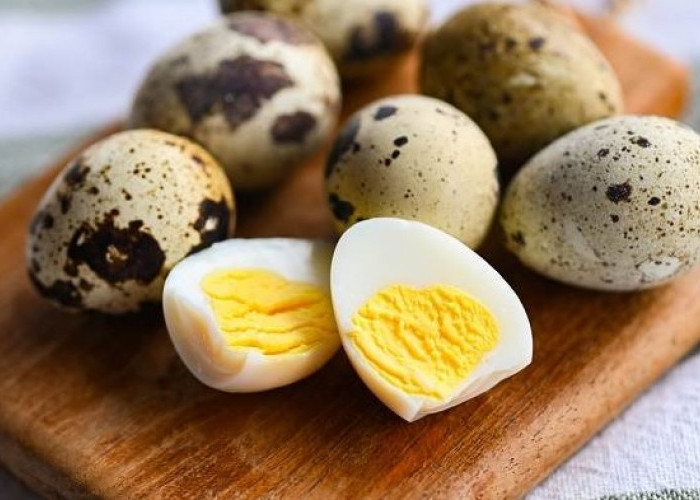 Telur Puyuh: Si Kecil Penuh Gizi untuk Tumbuh Kembang Anak
