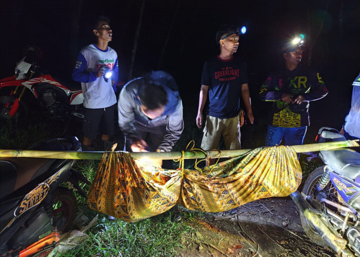 Pria di OKU Ditemukan Tak Bernyawa di kebun Karet, Polisi duga Orang Dalam Gangguan Jiwa