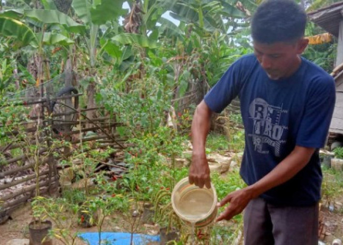 Program GSMP Bantu Warga Tekan Biaya Dapur dan Tambah Penghasilan
