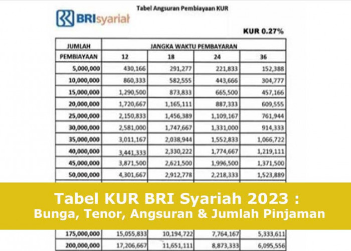UPDATE! Syarat dan Simulasi Cicilan Dana KUR BRI Syariah, Pinjaman Hingga Rp200 Juta September 2023